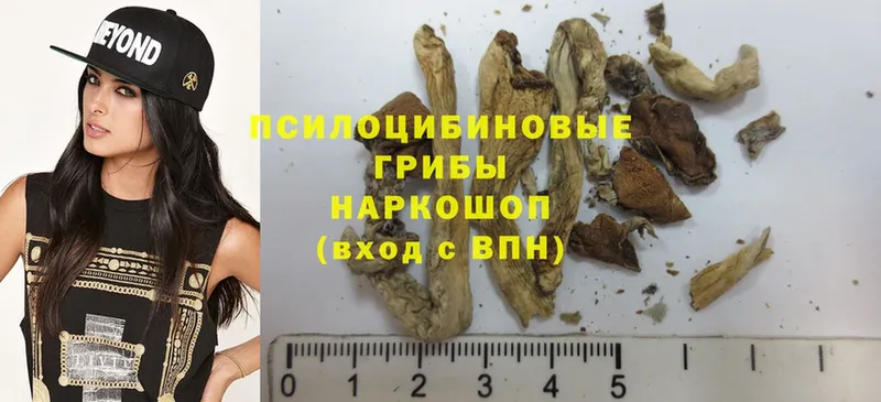 Псилоцибиновые грибы Psilocybe  hydra онион  Усть-Илимск  купить  